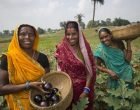 Women agri